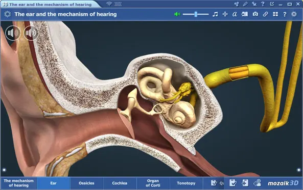 革新的なデジタルな教育ソリューション