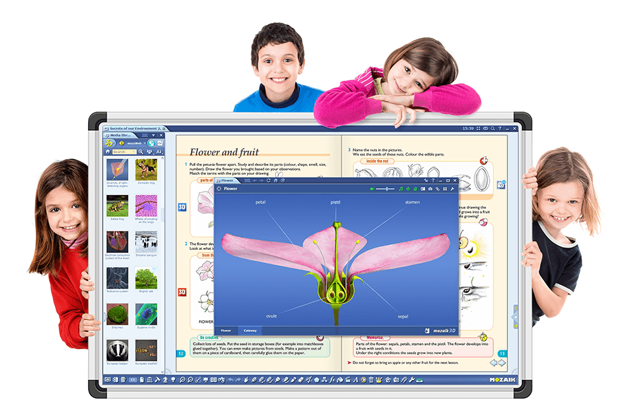 mozaBook