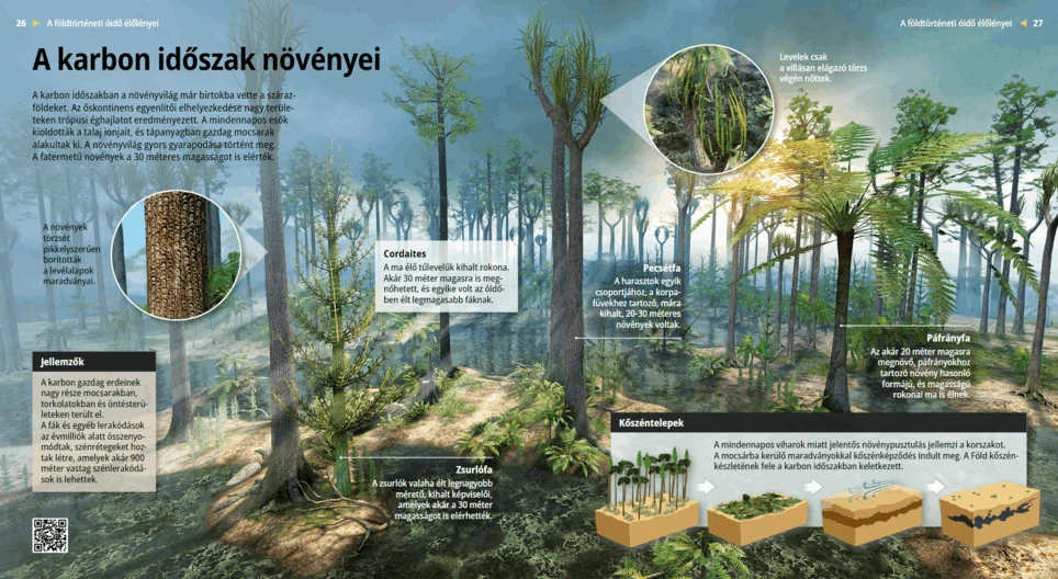 Carboniferous Flora