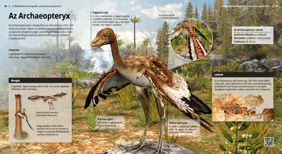 Archaeopteryx