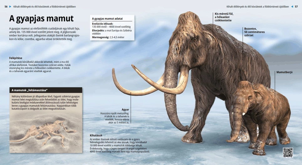 Woolly Mammoth