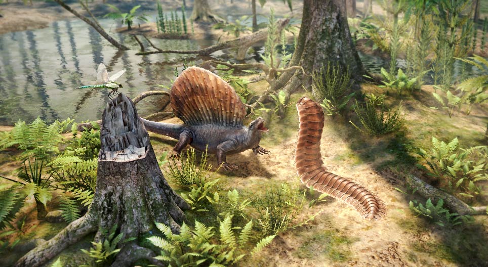 石炭紀の植物相と動物相
