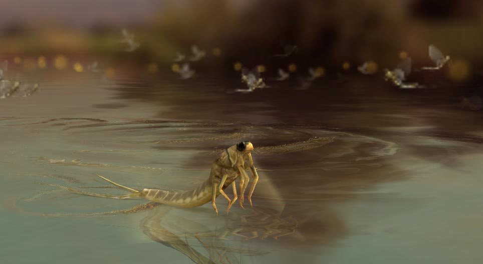 カゲロウ