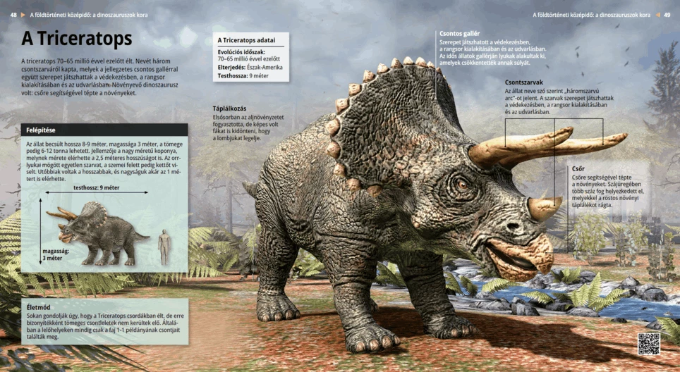 Triceratops
