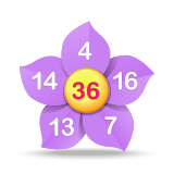 数字花