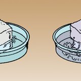 砂糖は冷水よりも温水に溶けやすい