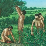 旧人類、集会