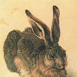 アルブレヒト・デューラー - ハレ（1502年）