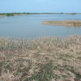 A Tisza-tó