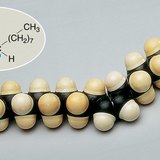 油酸分子的空间填充模型