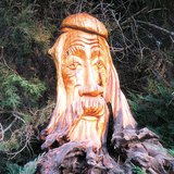 精灵守护人