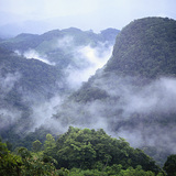A Selva Lacandona dzsungele
