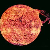 太陽