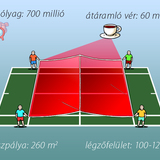 Légzőfelület