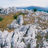 Karsztos táj karrokkal
