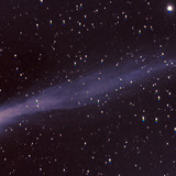 彗星C / 2006 M4（天鹅彗星）