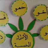 IMG-20171114-WA0008