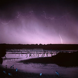 雷光