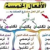 IMG-20171114-WA0018