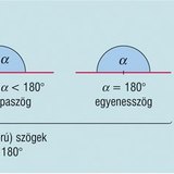 Szögfajták