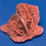 砂漠のバラ