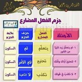 IMG-20171114-WA0010