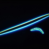 スポンジ骨片