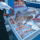 Görögországban járva érdemes megkóstolni a különböző „tengeri herkentyűket”