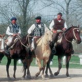 ガウチョス、アルゼンチンのカウボーイズ