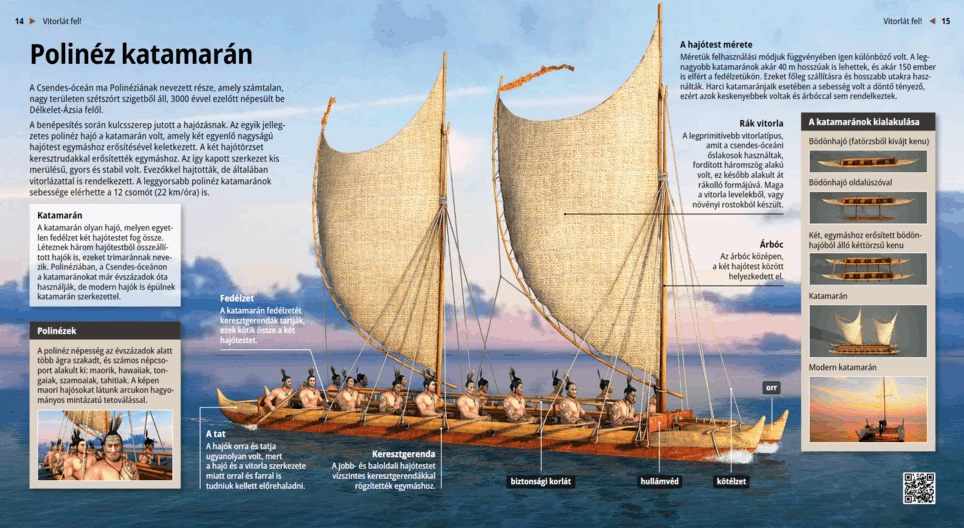 Polynesian Catamaran