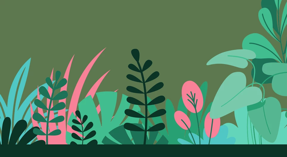 草本植物