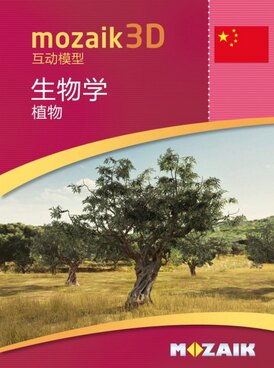 Book MS-9524-ZH