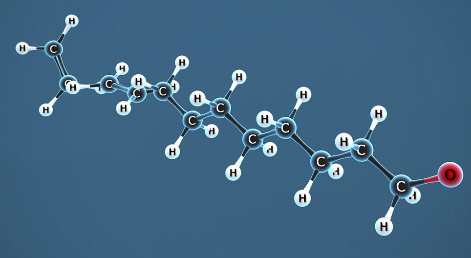 乙烯的聚合